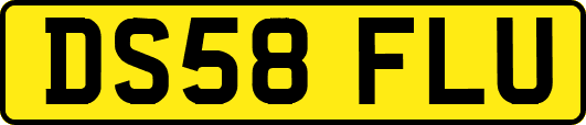 DS58FLU