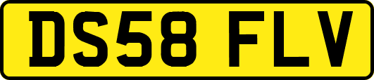 DS58FLV