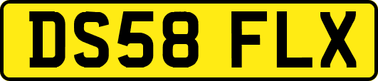 DS58FLX