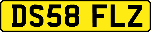 DS58FLZ