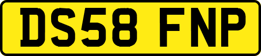 DS58FNP