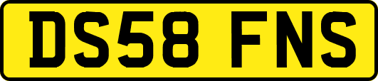 DS58FNS