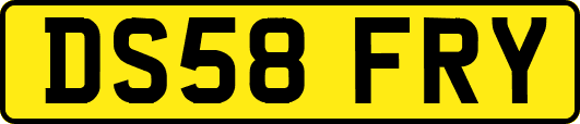 DS58FRY