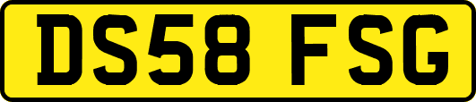 DS58FSG