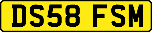 DS58FSM