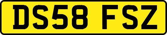 DS58FSZ