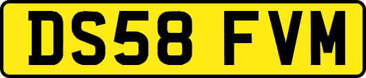 DS58FVM