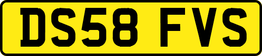 DS58FVS