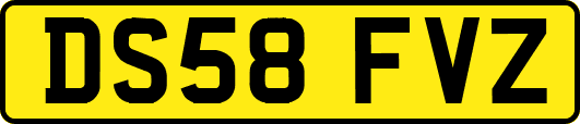 DS58FVZ