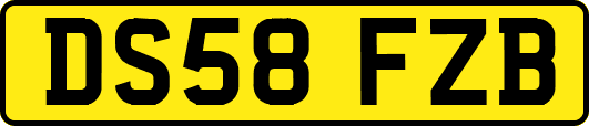 DS58FZB