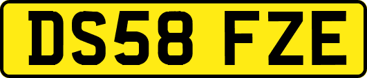DS58FZE