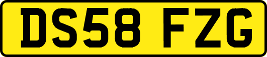 DS58FZG