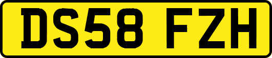 DS58FZH