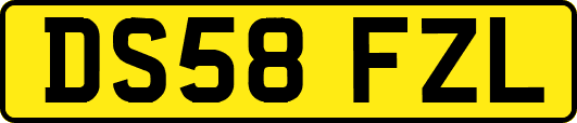DS58FZL