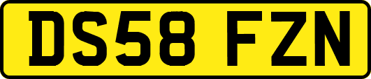 DS58FZN