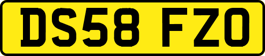 DS58FZO