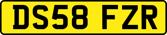 DS58FZR
