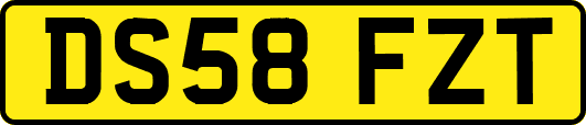 DS58FZT