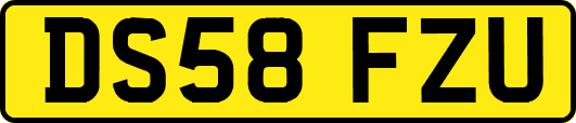 DS58FZU