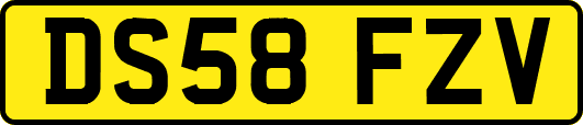 DS58FZV