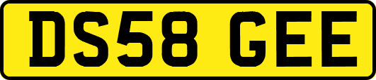 DS58GEE