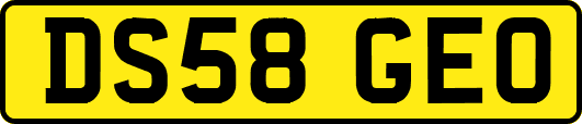 DS58GEO