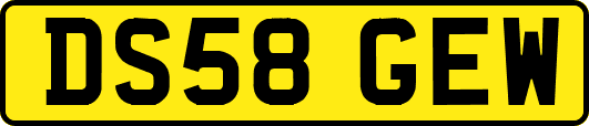 DS58GEW