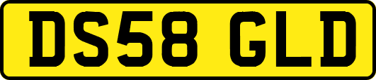 DS58GLD