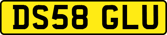 DS58GLU