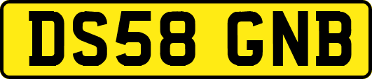 DS58GNB