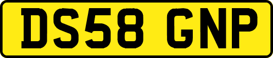 DS58GNP