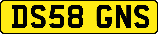 DS58GNS