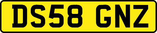 DS58GNZ