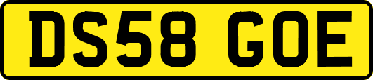 DS58GOE