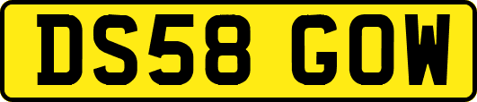 DS58GOW