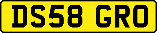 DS58GRO