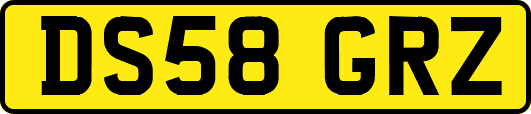 DS58GRZ