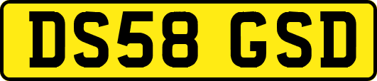 DS58GSD