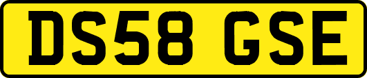 DS58GSE