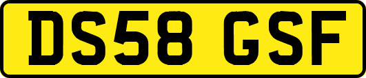 DS58GSF