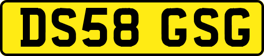 DS58GSG