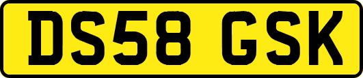 DS58GSK