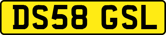 DS58GSL