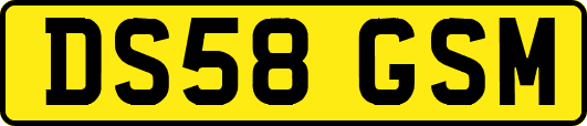 DS58GSM