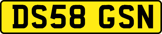 DS58GSN