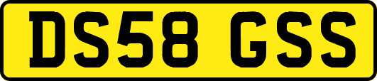 DS58GSS