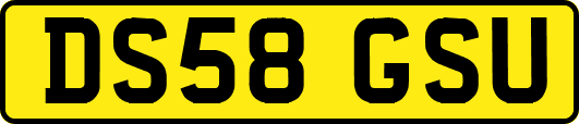 DS58GSU