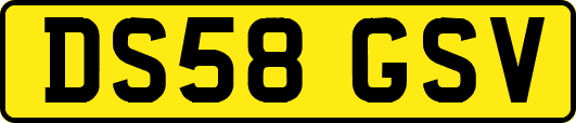 DS58GSV