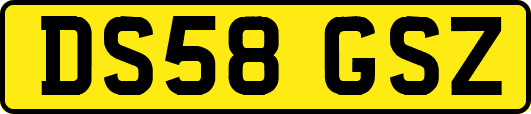 DS58GSZ