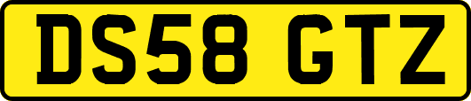 DS58GTZ